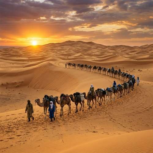 Desert Tour