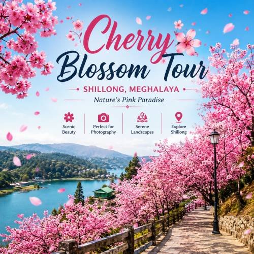 Nature tour